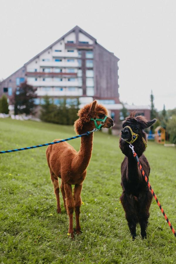 Orea Resort Horizont Sumava Železná Ruda エクステリア 写真